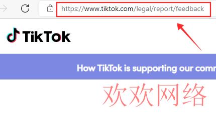 share-your-feedback-form-tiktok-1-1