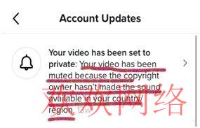  tiktok搬运会有什么限制，tiktok搬运视频会被限流吗