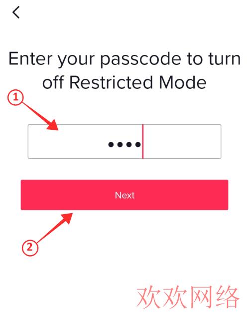 restricted-mode-tiktok-3