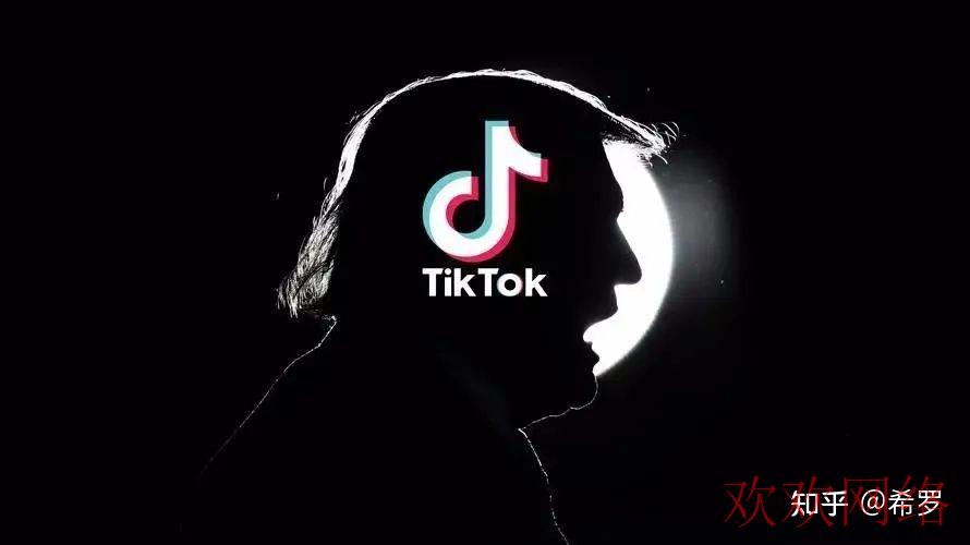  tiktok作品发布多久有播放，tiktok的作品别人看不到