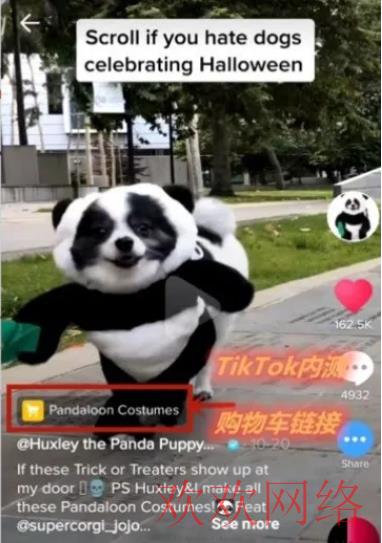  TikTok如何变现？哪种变现方式适合自己？