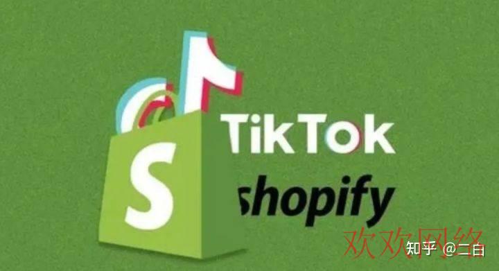  tiktok中国人怎么赚钱，国外的tiktok怎么赚钱