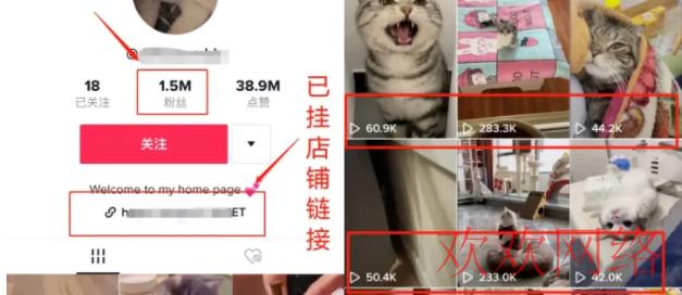  TK做带货做哪个地区？TikTok免费教学抽提成