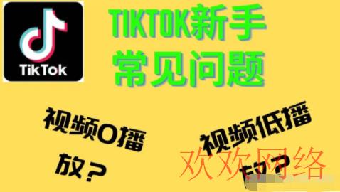  在TikTok上卖货，月入过万？