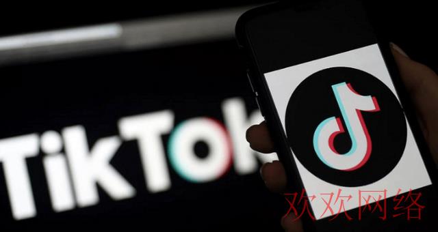  有加速器tiktok进不去，下载了加速器怎么打开tiktok