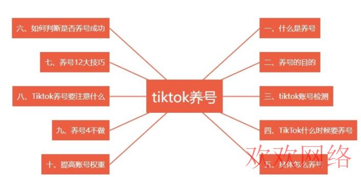 国际版抖音Tiktok养号流程超全指南！2023（全篇干货）