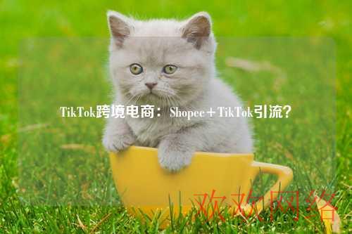  TikTok跨境电商：Shopee+TikTok引流？