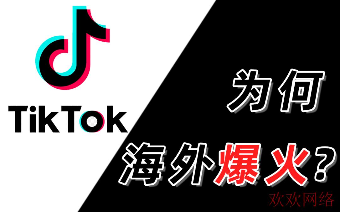  tiktok为什么网页版能用，软件不能用？