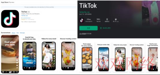  如何在iOS系统上免越狱使用TikTok？（完美解决方法）