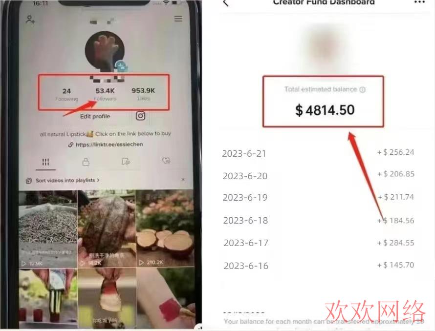 短视频实操变现, tiktok创作激励在哪，tiktok创作激励计划