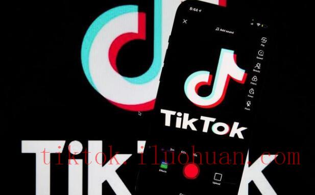 网页版TikTok